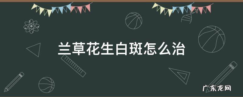 兰草花生白斑怎么治 花草生白斑是怎么治疗