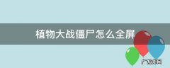 植物大战僵尸怎么全屏 win11植物大战僵尸怎么全屏