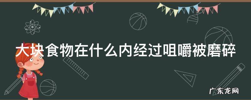 大块食物在什么内经过咀嚼被磨碎? 大块食物在什么内经过咀嚼被磨碎