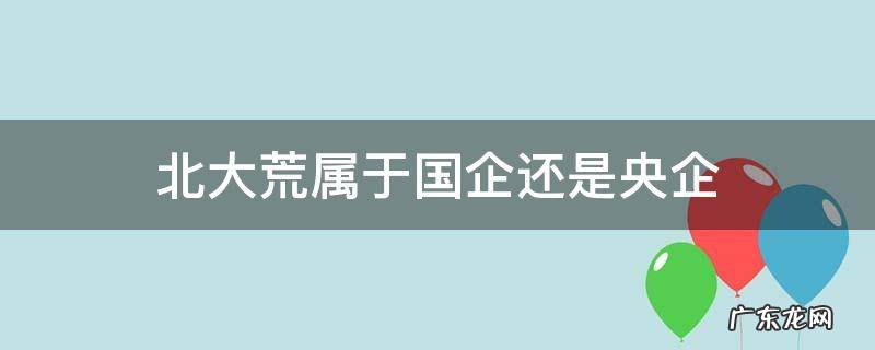 北大荒属于国企还是央企 北大荒集团是央企是什么级别