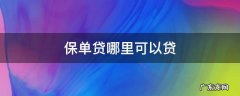 保单贷哪里可以贷 哪些保单能贷款