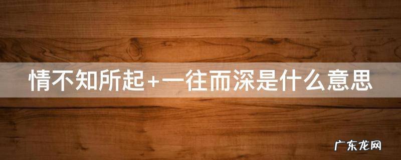 情不知所起 情不知所起一往情深