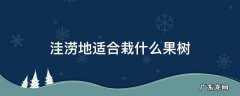 洼涝地适合栽什么果树 低洼地适合种植什么果树