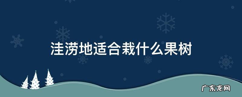 洼涝地适合栽什么果树 低洼地适合种植什么果树