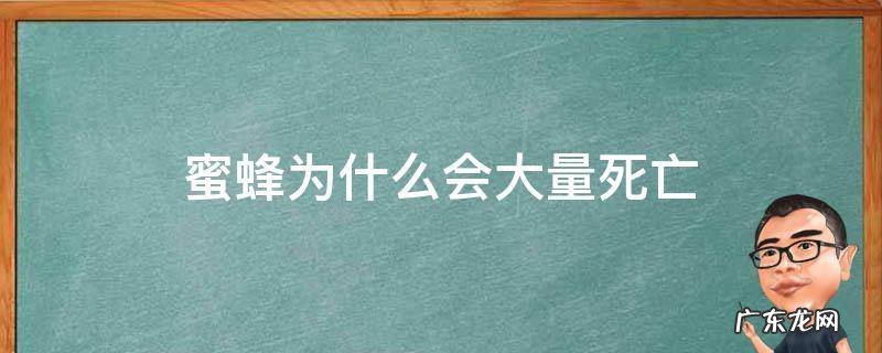 蜜蜂为什么会大量死亡 蜜蜂为什么会突然死亡