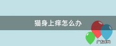 猫身上特别痒怎么办 猫身上痒怎么办