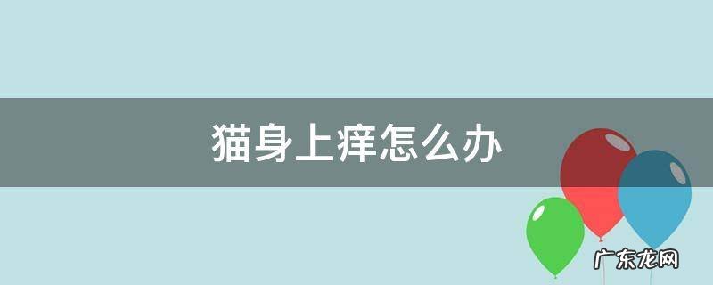 猫身上特别痒怎么办 猫身上痒怎么办