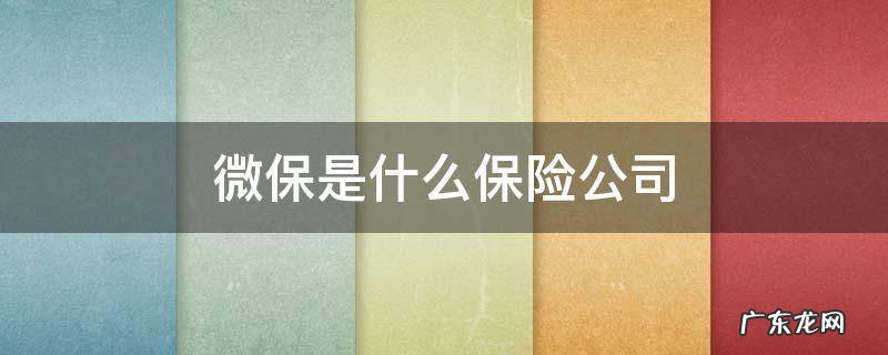微保是什么保险公司承保 微保是什么保险公司
