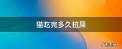 猫吃完大概多久拉屎 猫吃完多久拉屎