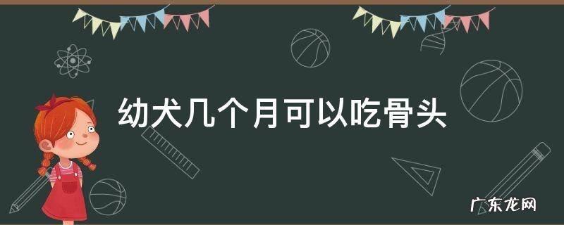幼犬几个月可以吃骨头 两个月的幼犬能吃骨头吗