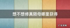 想不想修真陨母哪里获得 想不想修真陨母怎么获得