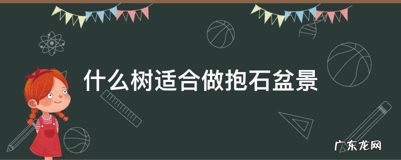 树抱石盆景的养殖方法 什么树适合做抱石盆景