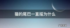 猫为什么会一直摇尾巴 猫的尾巴一直摇为什么