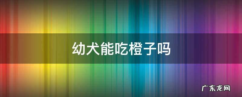 狗可以吃橙子吗? 幼犬能吃橙子吗