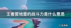王者营地里的战斗力是什么意思 王者营地里的战斗力是什么意思哦