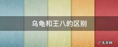 乌龟和王八的区别 乌龟和王八的区别是什么