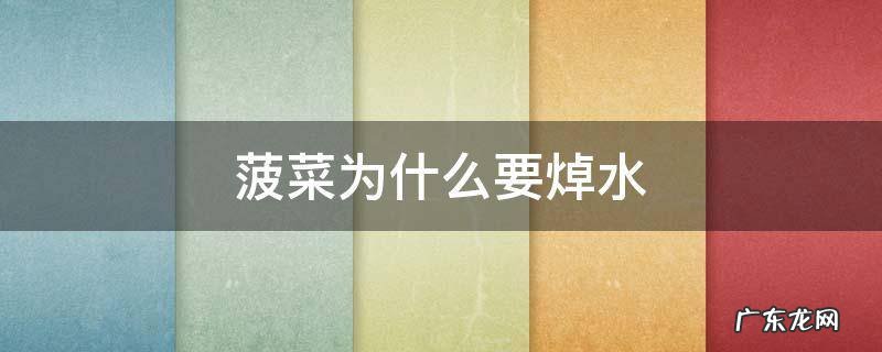 菠菜为什么要焯水 菠菜为什么要焯水?
