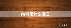 阴阳向背是什么意思 向背是什么意思