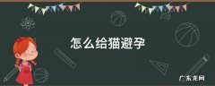 家猫如何避孕 怎么给猫避孕