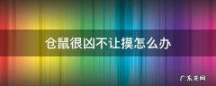 仓鼠很凶不让摸怎么办 仓鼠不敢摸怎么办