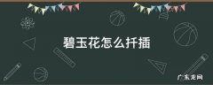碧玉最简单的扦插方法 碧玉花怎么扦插