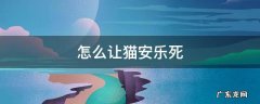 怎么让猫安乐死