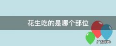 吃花生吃的是什么部位 花生吃的是哪个部位