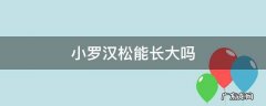 罗汉松怎么样才能快长大 小罗汉松能长大吗