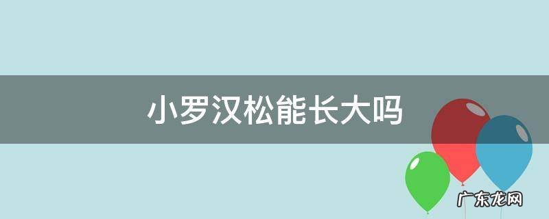 罗汉松怎么样才能快长大 小罗汉松能长大吗