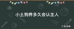 小土狗养多久会认主人 小土狗多少天会认人