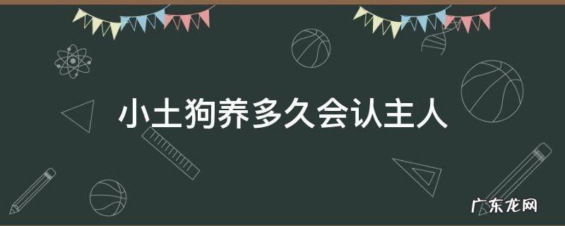 小土狗养多久会认主人 小土狗多少天会认人