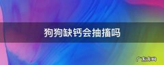 狗狗缺钙会不会抽搐 狗狗缺钙会抽搐吗
