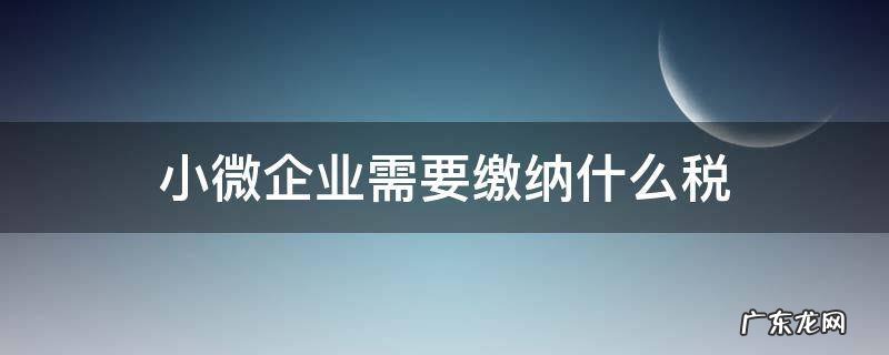 小微企业需要缴税吗 小微企业需要缴纳什么税