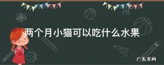 两个月小猫可以吃什么水果 两个月大的小猫能吃什么水果