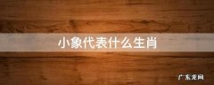小象象征着什么生肖 小象代表什么生肖
