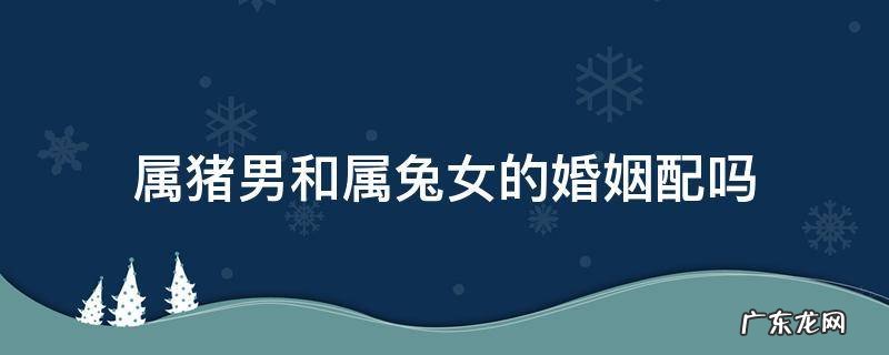 属猪男和属兔女的婚姻怎样 属猪男和属兔女的婚姻配吗