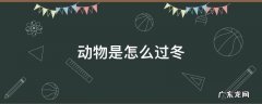 动物是怎么过冬 动物是怎么过冬的教案