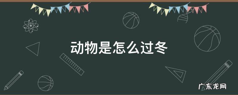 动物是怎么过冬 动物是怎么过冬的教案