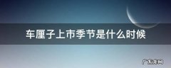 车厘子每年什么时候上市 车厘子上市季节是什么时候
