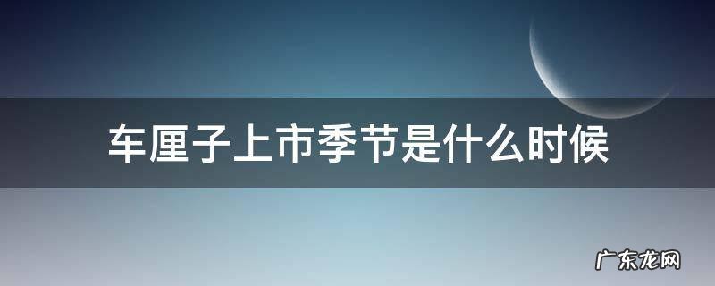 车厘子每年什么时候上市 车厘子上市季节是什么时候