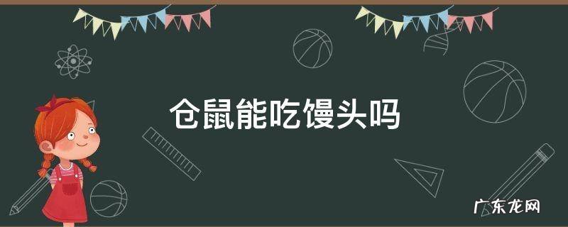 仓鼠能吃馒头吗 仓鼠可以吃馒头吗?