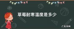 草莓耐寒温度是多少 草莓耐多少度低温