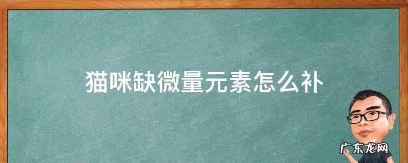 猫咪缺微量元素怎么补 猫咪缺少微量元素怎么补