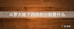斗罗大陆下四宗的分别是什么 斗罗大陆下四宗是哪些