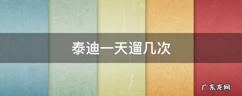 泰迪一天遛几次正常 泰迪一天遛几次
