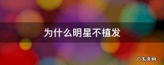 为什么明星不植发 明星们为什么不植发