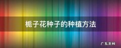 栀子花苗怎么种 栀子花种子的种植方法