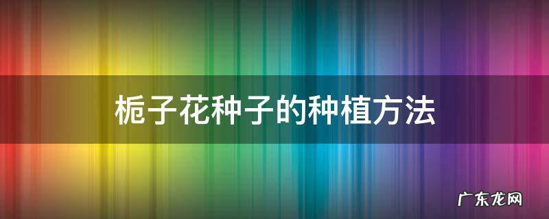 栀子花苗怎么种 栀子花种子的种植方法