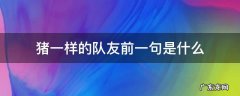 不怕什么就怕猪一样的队友前一句是什么 猪一样的队友前一句是什么