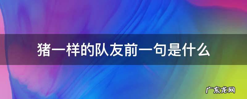 不怕什么就怕猪一样的队友前一句是什么 猪一样的队友前一句是什么